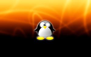 Start your digital journey today with a Linux OS. linux wallpaper