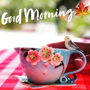 Start your morning off with a bright smile! good morning wallpaper
