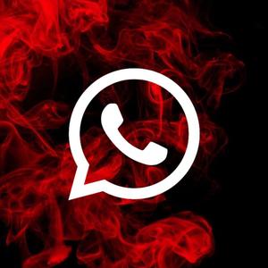 Stay Connected with your Friends and Family on Whatsapp whatsapp wallpaper