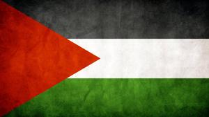 Strong and Resilient - The Textured Flag of Palestine palestine wallpaper