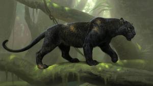 Strong Black Panther Animal black panther wallpaper