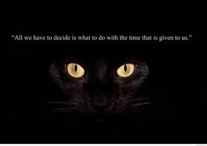 Strong Wisdom Quotes
