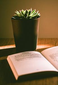 Study Motivation Book and Potted Plant study motivation wallpaper