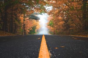 Stunning Fall Colors Light Up An Evening Drive fall wallpaper