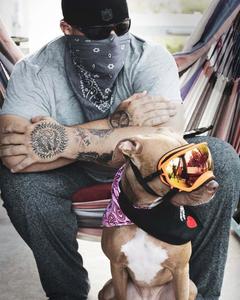 Stylish Gangster gangster wallpaper