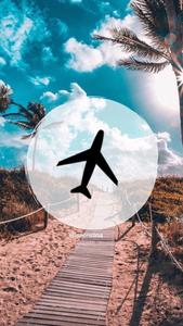 Summer Aesthetic Airplane Icon summer aesthetic wallpaper