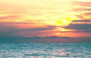 Summer Aesthetic Beach Sunset Focus Shot summer aesthetic wallpaper