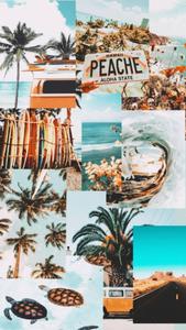 Summer Aesthetic Beach Vibe Collage summer aesthetic wallpaper