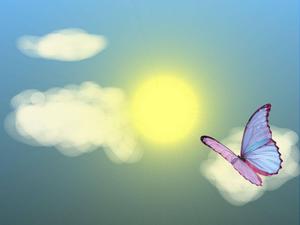 Summer Aesthetic Floating Butterfly summer aesthetic wallpaper