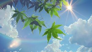 Summer Aesthetic Sun And Sky summer aesthetic wallpaper