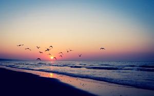 Summer Aesthetic Sunset In Beach summer aesthetic wallpaper