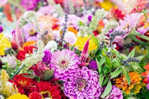 Summer Flower Arrangement Picture flower wallpaper