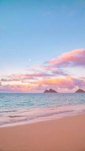 Summer iPhone Pastel Beach summer iphone wallpaper