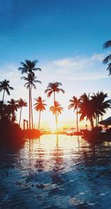 Summer iPhone Pool View Beach summer iphone wallpaper