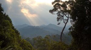 Sun Rays Hits Mountains Nature picture nature wallpaper