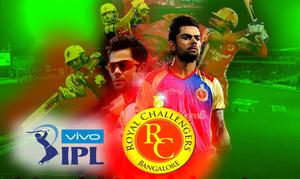 Support the Royal Challengers Bangalore! rcb wallpaper
