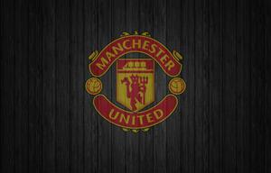 Supporting the Red Devils - Manchester United fans manchester united wallpaper
