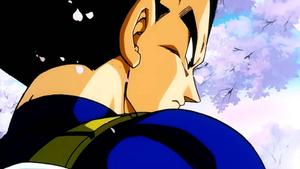 Supreme Saiyan Prince Vegeta vegeta wallpaper