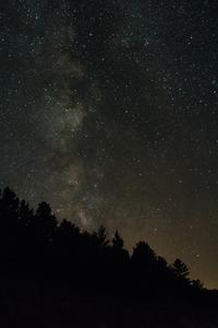 Surrounded by the beauty of the night sky black screen wallpaper