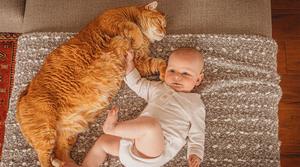 Sweet and cuddly! cute wallpaper