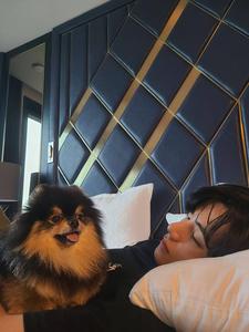 Taehyung And Yeontan taehyung wallpaper