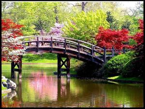 Take a Break and Visit Nature for Spring Desktop spring desktop wallpaper