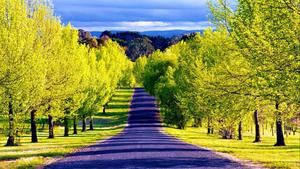 Take a drive and explore the beautiful countryside beautiful wallpaper
