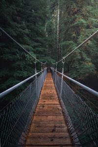 Take a Hike on this Hanging Bridge whatsapp wallpaper