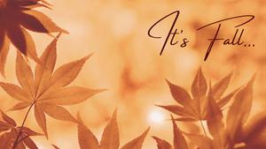 Take a leisurely walk in an Autumn park to enjoy the vibrant colors of Fall. fall wallpaper
