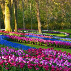Take a moment to appreciate the beauty of life this Spring spring wallpaper