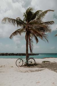 Take a moment to slow down and enjoy the beauty of summer summer aesthetic wallpaper
