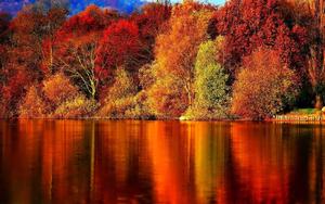 Take a Stroll through Nature this Fall fall wallpaper