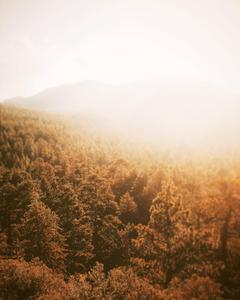 Take a stroll through the season and savor the beauty of autumn fall wallpaper