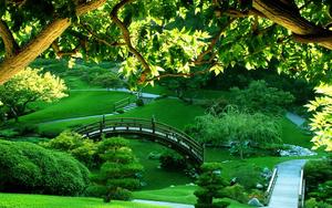 Take a Walk Through Nature beautiful wallpaper