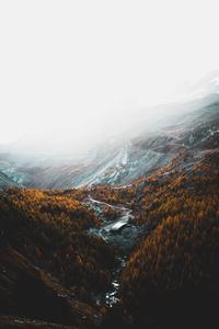 Take in the beautiful fall foliage while admiring the majestic mountain fall wallpaper