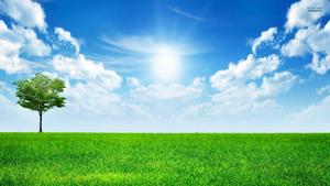 Take in the beauty of a summer sky with wispy clouds sky wallpaper
