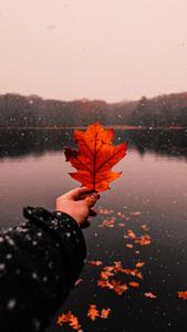 Take in the beauty of Fall and enjoy the crisp, fresh air of the season. fall wallpaper