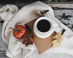 Take in the beauty of Fall with a peaceful stroll through the changing leaves. fall aesthetic wallpaper