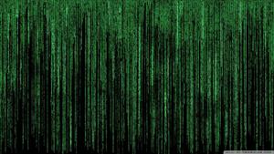 Take the Leap and Surrender to the Unknown matrix wallpaper