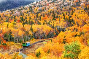 "Take time to enjoy the beauty of Fall" Wallpaper