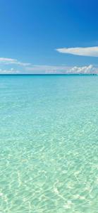 Take Your Summer Adventure of a Lifetime With the iPhone summer iphone wallpaper