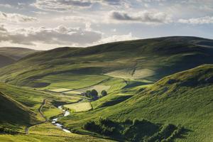 "Taking a Breather in the Curtain of Rolling Hills" Wallpaper