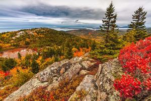 Taking in the sights and sounds of a crisp fall day. fall wallpaper