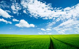 Taking in the View of Nature's Landscape landscape wallpaper