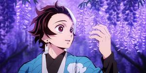 Tanjiro embraces the beauty of wisteria flowers tanjiro wallpaper