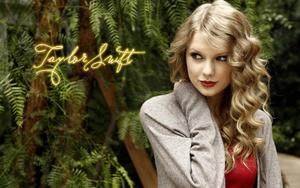 Taylor Swift Live On Stage taylor swift wallpaper