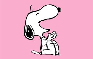 The adorable dog Snoopy going for a walk snoopy wallpaper