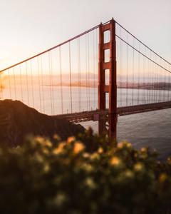 The Android Golden Gate Bridge - Tour San Francisco with your Android device android wallpaper