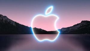 The Apple Logo Shining Bright  Wallpaper