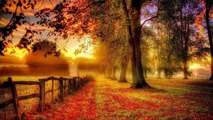 The beauty of Fall fall wallpaper